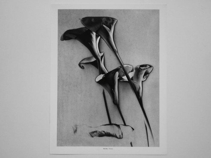 Man Ray (1890–1976) - Flowers [Cala Lilies], Antiek en Kunst, Kunst | Designobjecten