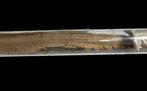 Reliekhouder - Glas, Hout - 1800-1850, Ampul - Santa Croce