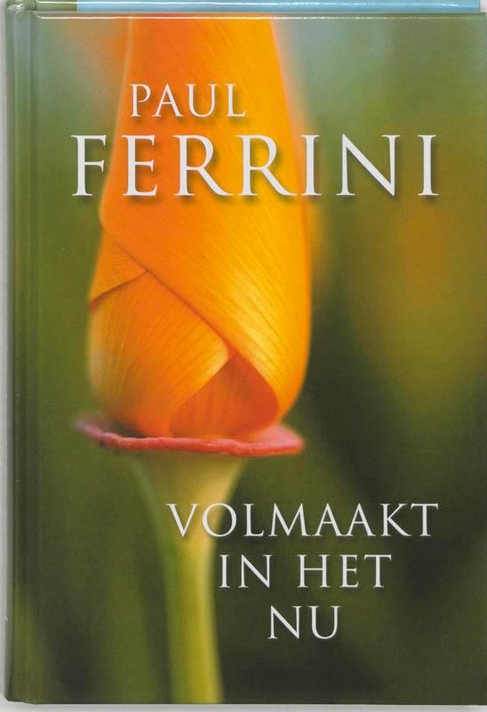 Volmaakt in het nu 9789020283716 Paul Ferrini, Boeken, Esoterie en Spiritualiteit, Zo goed als nieuw, Verzenden