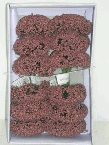 Fieldberries MAUVE doosje voor bloemschikken Fieldberries Ro