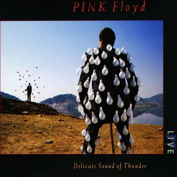 Pink Floyd – Delicate Sound Of Thunder 5099960919427 (2-CD-S, Cd's en Dvd's, Cd's | Rock, Ophalen of Verzenden