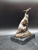 Beeld, Bronze Greyhound - 18 cm - Brons, Marmer