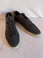 Tods - Chaussures à lacets - Taille : EU 42