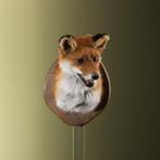 Vos Taxidermie Opgezette Dieren By Max, Verzamelen, Ophalen of Verzenden, Nieuw, Wild dier, Opgezet dier