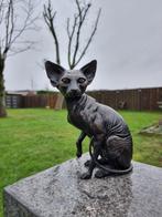 Beeld, Bronze Sphynx Cat Hand-Crafted - 21.5 cm - Brons -