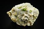 TITANIET groene kristallen op matrix met CHLORIET en, Verzamelen, Mineralen en Fossielen