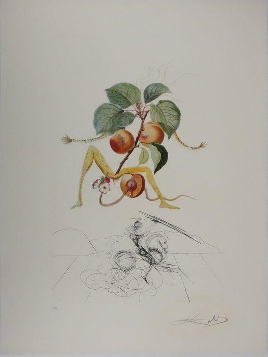 Salvador Dali (1904-1989) - Flordali, Abricot chevalier, Antiek en Kunst, Antiek | Overige Antiek
