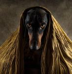 Heike Willers - “Golden Eyes”., Antiquités & Art