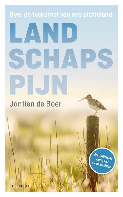 Landschapspijn 9789045038445 Jantien de Boer, Boeken, Wetenschap, Zo goed als nieuw, Verzenden