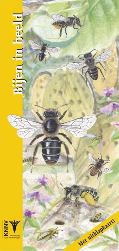 In beeld 27 - Bijen in beeld 9789050114042, Boeken, Dieren en Huisdieren, Zo goed als nieuw, Verzenden