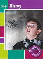 De Ruiters Mini informatie 342 Bang (compleet), Boeken, Verzenden, Nieuw