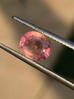 1 pcs Orange, Rose Sapphire Padparadscha - 1.58 ct -, Handtassen en Accessoires, Edelstenen, Nieuw