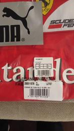 Ferrari - Formule 1 - Felipe Massa - Fernando Alonso - 2013, Nieuw