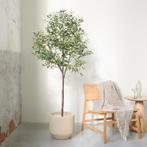 Kunst olijfboom - 175 cm, Huis en Inrichting, Kamerplanten, Verzenden
