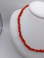 Bloedkoraal Koraal - Corallium rubrum (Zonder Minimumprijs)