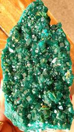 dioptase Geode - Hoogte: 5.5 cm - Breedte: 13 cm- 478 g -, Verzamelen