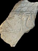 Fenicisch/Punische Carthago kalksteen Stelefragment met