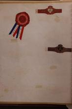 Zeer mooi opgezette verzameling sigarenbandjes in 5 albums -, Antiek en Kunst