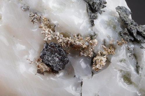 ARGENT natif avec ALLARGENTUM et CALCITE - Spécimen de, Verzamelen, Mineralen en Fossielen