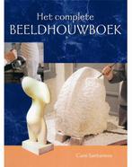 Het complete beeldhouwboek 9789021331263 J.T. I. Cami, Verzenden, Zo goed als nieuw, J.T. I. Cami