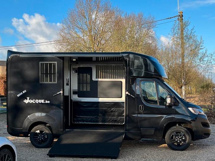 Paardencamionette Paardentrailer huren te huur verhuur, Dieren en Toebehoren, Paarden en Pony's | Trailers en Aanhangwagens, Zo goed als nieuw