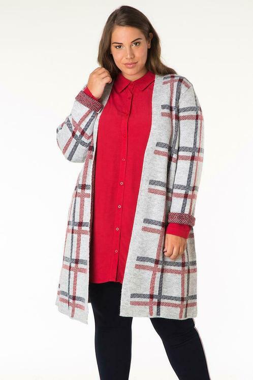 Vest Yesta lang ruitmotief maat 52, Kleding | Dames, Truien en Vesten, Verzenden