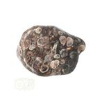 Turitella Agaat trommelsteen Nr 42 - 28 gram, Verzenden