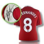 Manchester United - Engelse voetbalcompetitie - Bruno, Nieuw