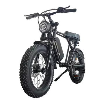 C91 Elektrische Fiets - Off-Road Smart Fatbike - 1000W - beschikbaar voor biedingen