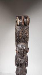 hagedis - lega - Congo RDC (Zonder minimumprijs), Antiek en Kunst