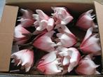Magnolia Soft Roze Foambloem Kort doos 12 stuks, Huis en Inrichting, Nieuw
