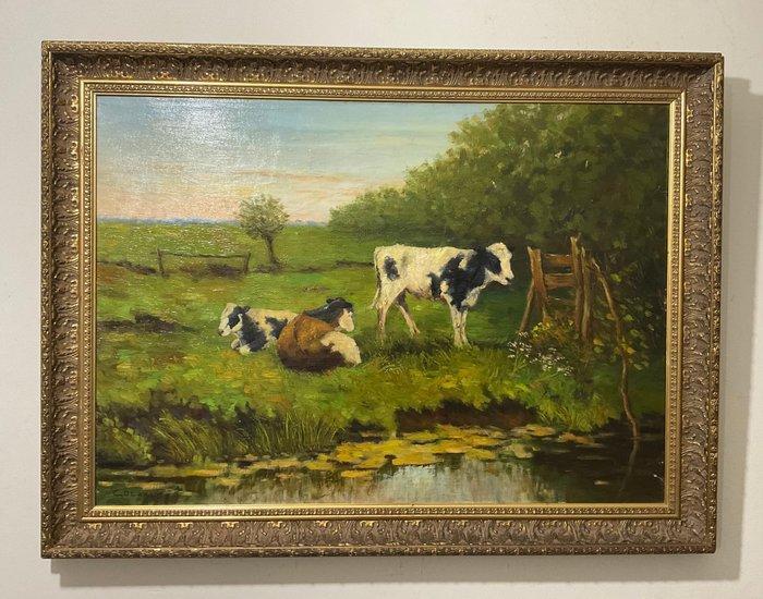 Goedhart (XX-XIX) - Koeien in de wei, Antiek en Kunst, Kunst | Schilderijen | Klassiek