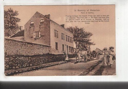 Belgique - Belgique, belle collection de vieilles cartes, Verzamelen, Postkaarten | Buitenland