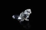 Swarovski - Figuur - Swarovski - Bever Moeder (Boxed +