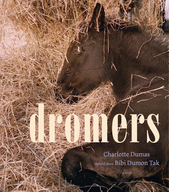 Dromers 9789045124094 Charlotte Dumas, Boeken, Kinderboeken | Kleuters, Zo goed als nieuw, Verzenden