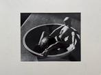 Man Ray (1890-1976) - Lay figure in a bowl, 1926