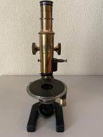 Monocular compound microscope - Carl Zeiss Jena – Serial No.