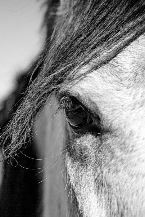 Giandomenico Veneziani - The eye, Antiquités & Art, Art | Objets design