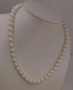 Sans prix de réserve - Collier Argent - Perles Edison 8x8,5, Nieuw