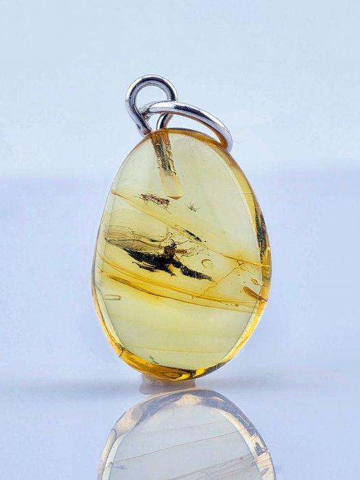 Barnsteen - Ancient Life in Amber – PARASITIC WASP – Baltic, Antiek en Kunst, Curiosa en Brocante