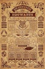 Harry Potter Poster Quidditch at Hogwarts 91 x 61 cm, Collections, Harry Potter, Ophalen of Verzenden
