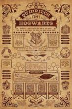 Harry Potter Poster Quidditch at Hogwarts 91 x 61 cm, Collections, Ophalen of Verzenden