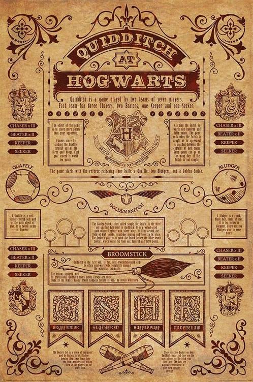Harry Potter Poster Quidditch at Hogwarts 91 x 61 cm, Collections, Harry Potter, Enlèvement ou Envoi