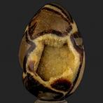 Cristaux jaunes sauvages Septaria Œuf de grands cristaux, Verzamelen, Mineralen en Fossielen