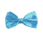 Turquoise Vlinderdas, Verzenden, Nieuw