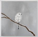 Matthieu van Riel - White-headed Long-tailed Bushtit, Antiquités & Art