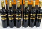 2015 Bodegas Valle de Monzón, Salegar - Ribera del Duero, Nieuw