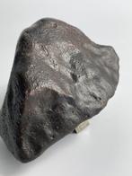 Chondrite non classé - 520 g - (1)