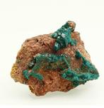 XXL glanzend smaragdgroen dioptase Kristal op matrix -