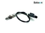 Lambda Sonde BMW R 1250 RS 2019- (R1250RS 19 K54), Verzenden, Gebruikt